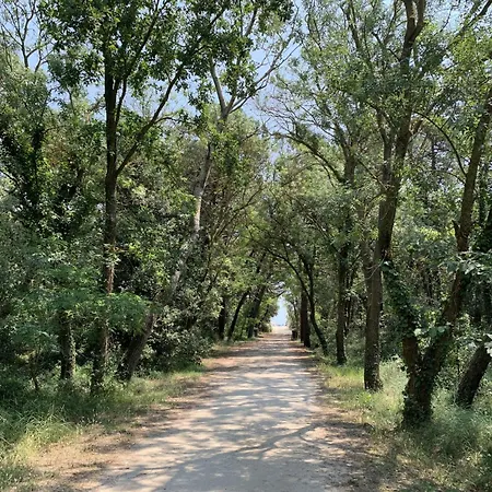 By Interhome Prázdninový dům Casal Borsetti