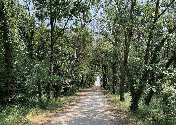 By Interhome 別荘 カザル・ボルセッティ